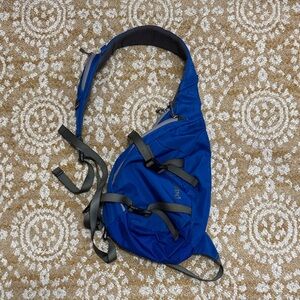 Patagonia Sling Backpack